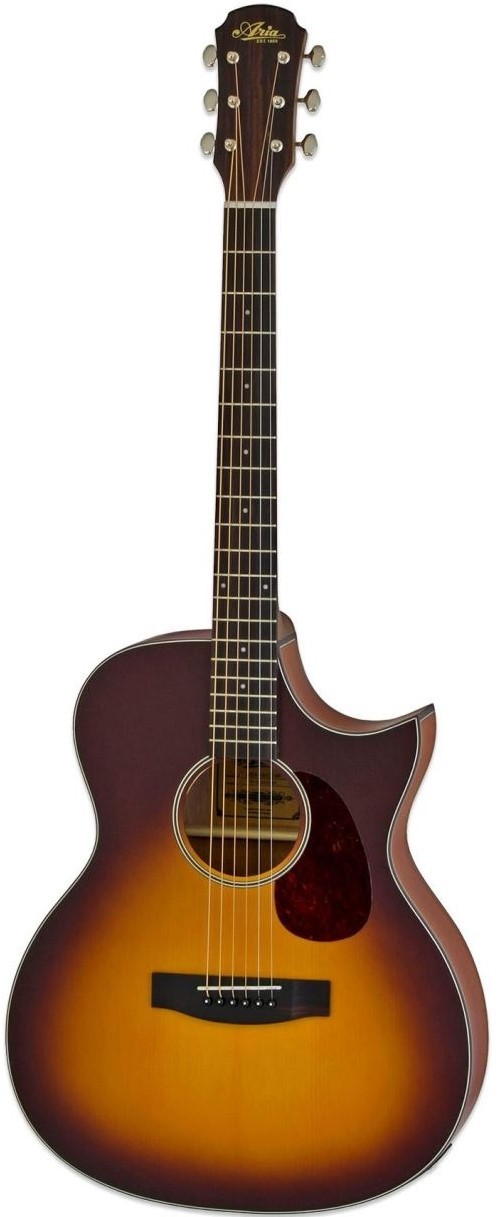 Chitara electro-acustica Aria 101CE MTTS