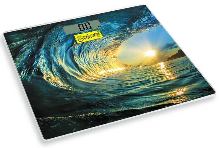 Cantar electronic Maestro MR-1821